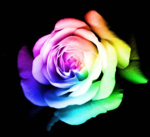 Mother_Nature__s_Touch_by_AltheTurkey